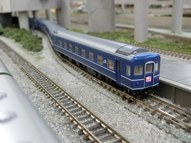 CIMG0657-1.jpg