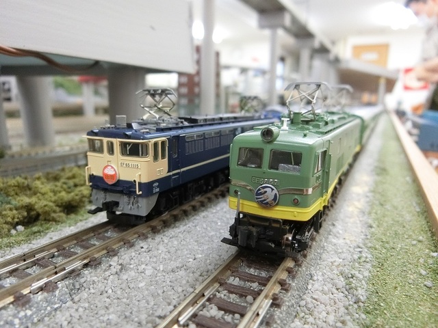 CIMG0673-1.jpg