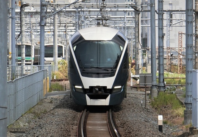 CIMG1056-1.jpg