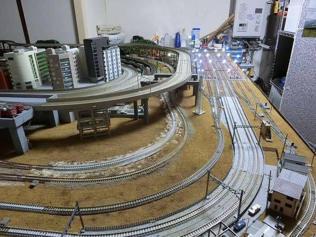 CIMG1442-1.jpg