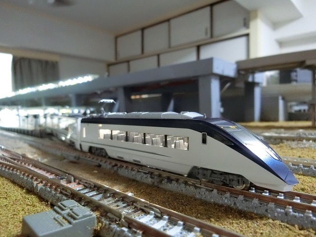 CIMG1455-1.jpg