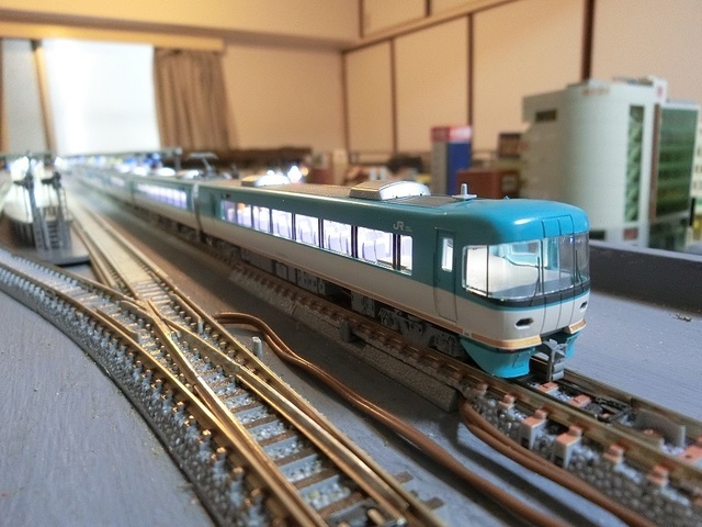 CIMG1462-1.jpg