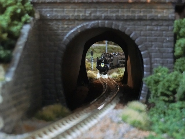 CIMG1471-1.jpg