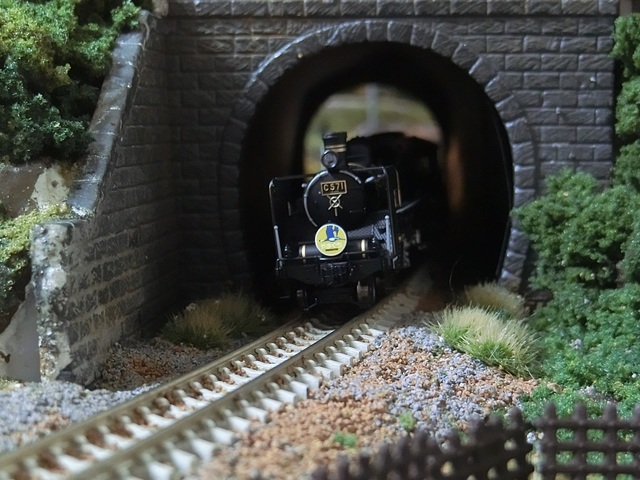 CIMG1474-1.jpg