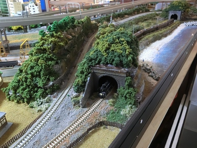 CIMG1476-1.jpg