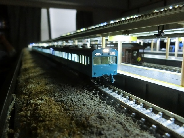CIMG1487-1.jpg
