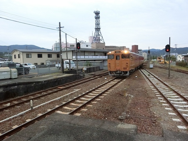 CIMG1685-1.jpg