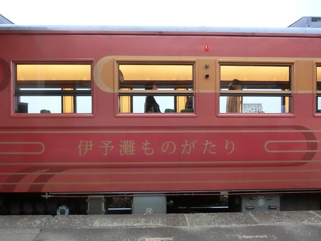 CIMG1691-1.jpg