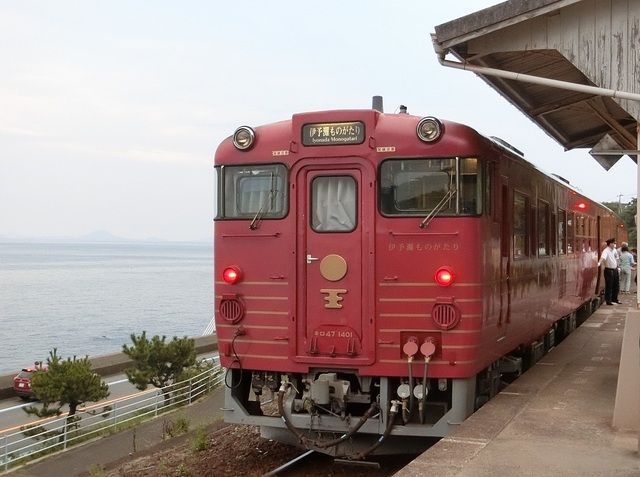 CIMG1694-1.jpg