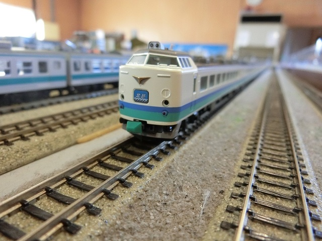 CIMG1949-1.jpg