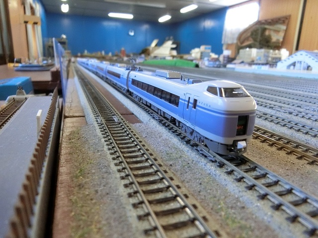 CIMG1951-1.jpg
