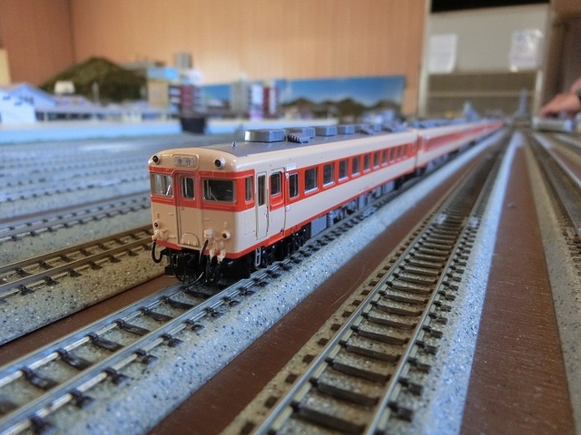 CIMG1973-1.jpg