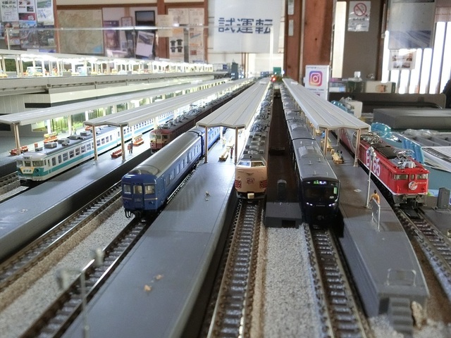 CIMG2002-1.jpg