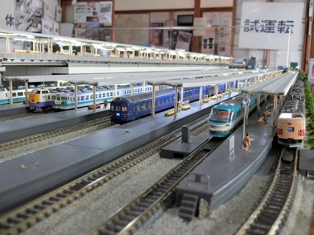 CIMG2046-1.jpg