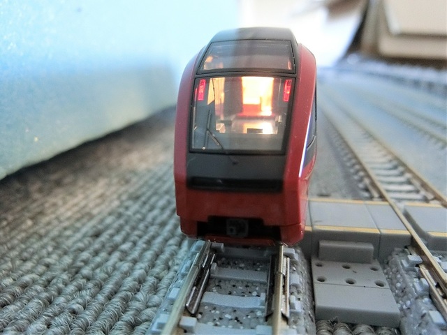 CIMG2122-1.jpg