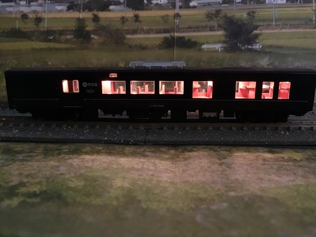 CIMG2183-1.jpg