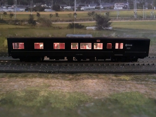 CIMG2185-1.jpg