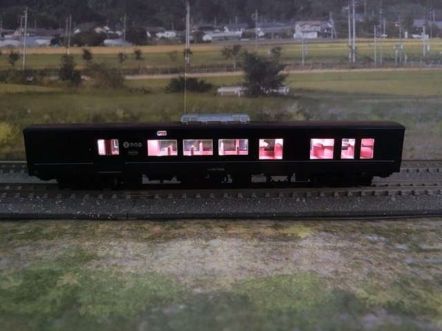 CIMG2186-1.jpg