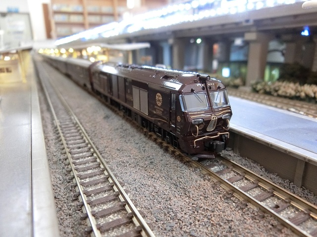 CIMG3929-1.jpg