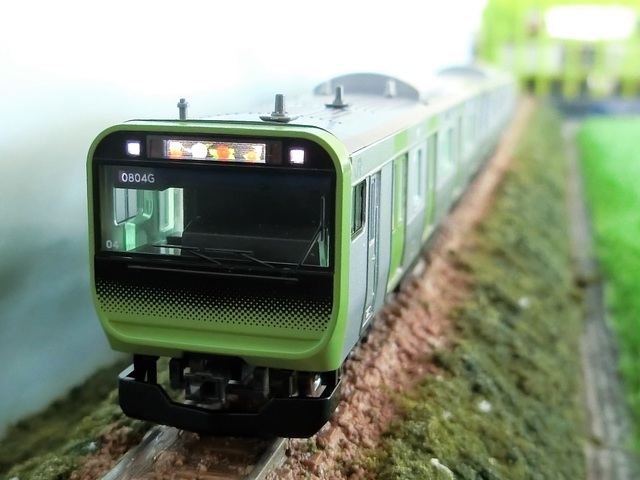CIMG4375-1.jpg