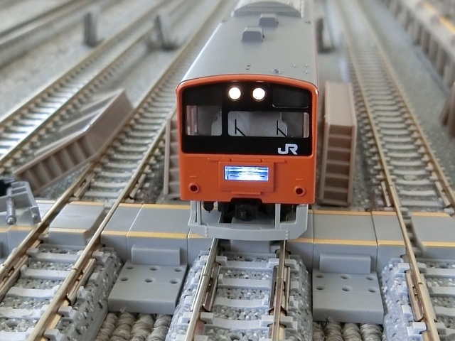 CIMG6210-1.jpg