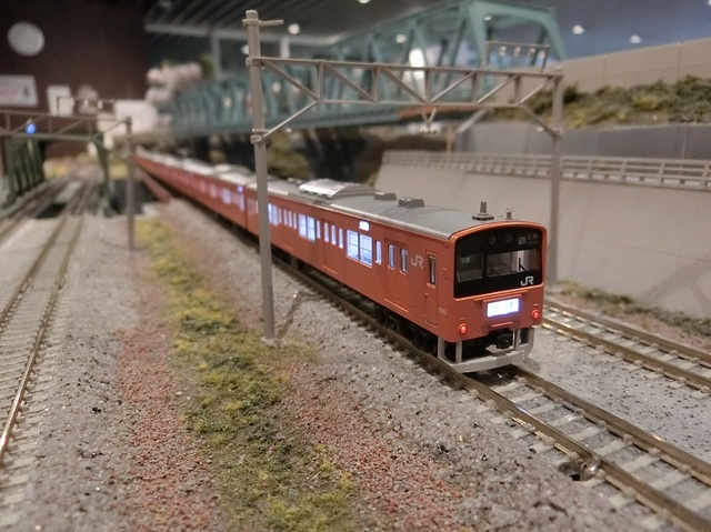 CIMG6774-1.jpg