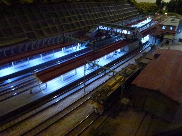 P1100616-1.jpg