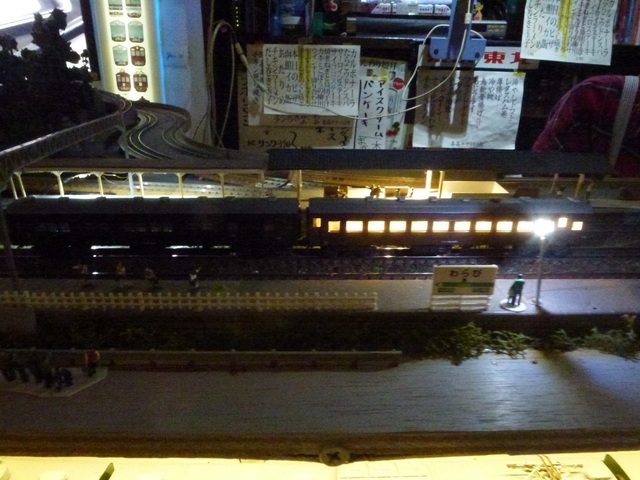 P1100618-1.jpg