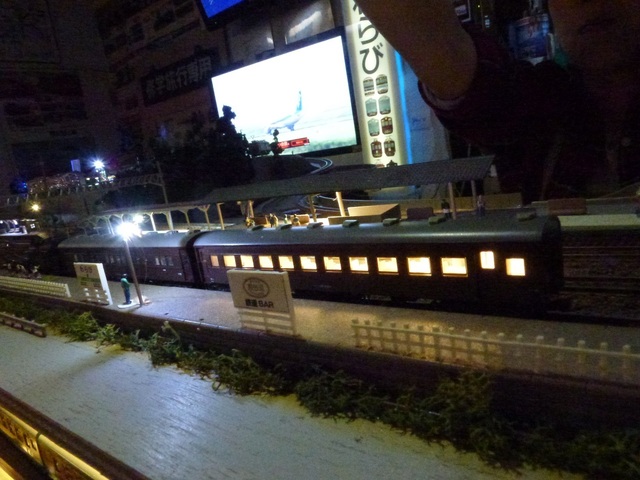 P1100632-1.jpg