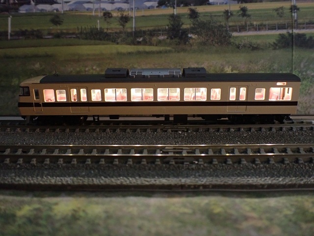 PA172006-1.jpg